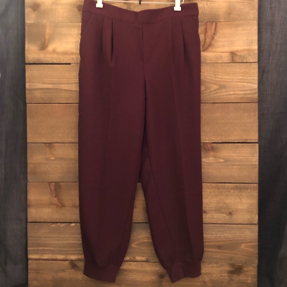Dressy Jogger Style Pants